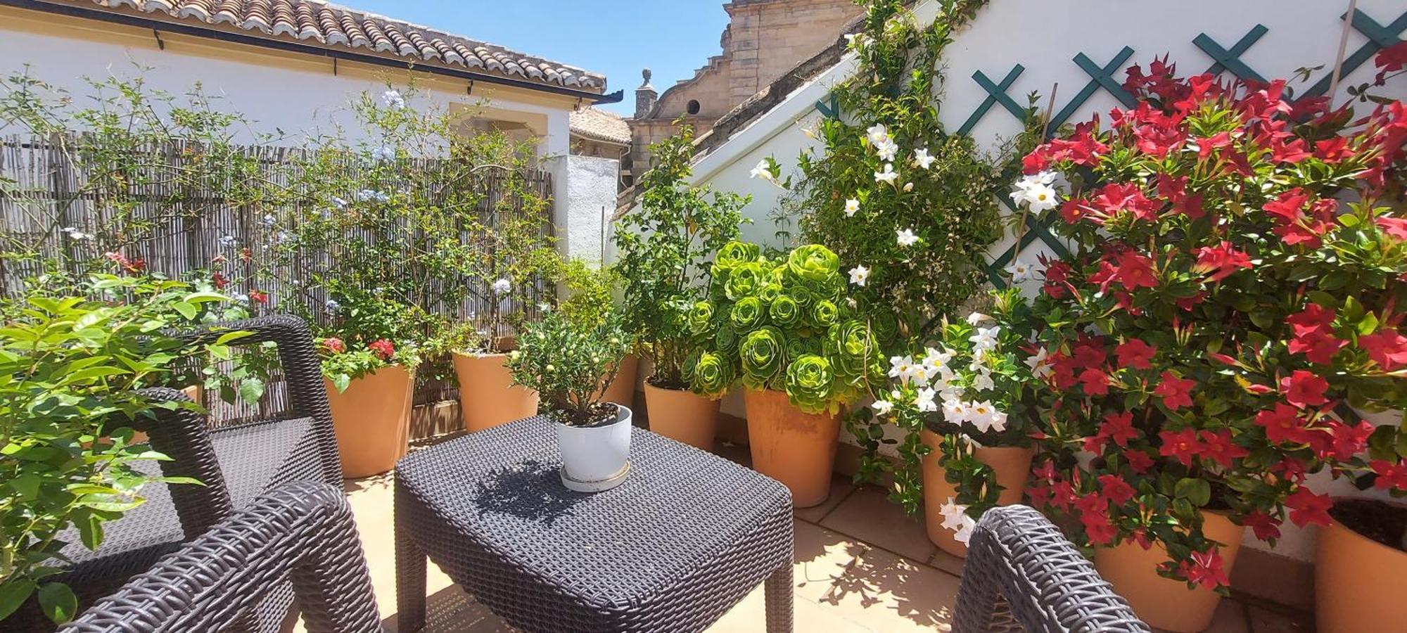 Apartamentos Los Descalzos Angel With Private Terrace Free Parking Ronda Exterior photo