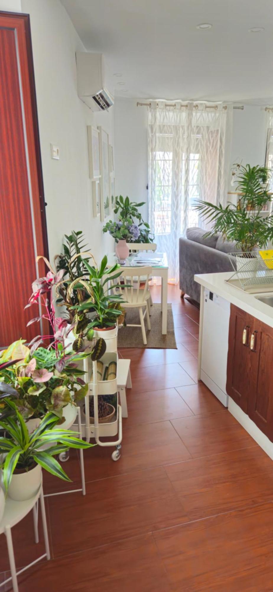 Apartamentos Los Descalzos Angel With Private Terrace Free Parking Ronda Exterior photo