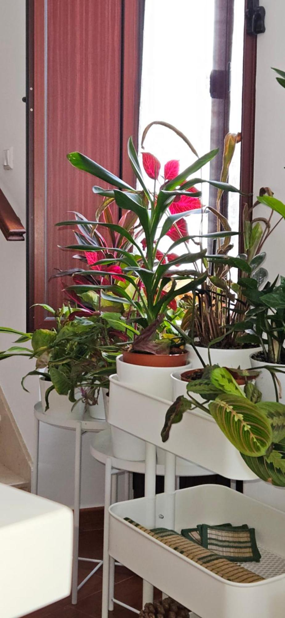Apartamentos Los Descalzos Angel With Private Terrace Free Parking Ronda Exterior photo