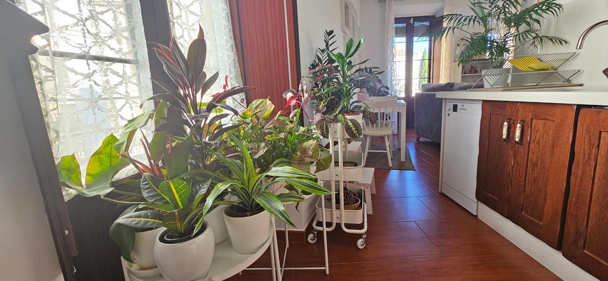 Apartamentos Los Descalzos Angel With Private Terrace Free Parking Ronda Exterior photo