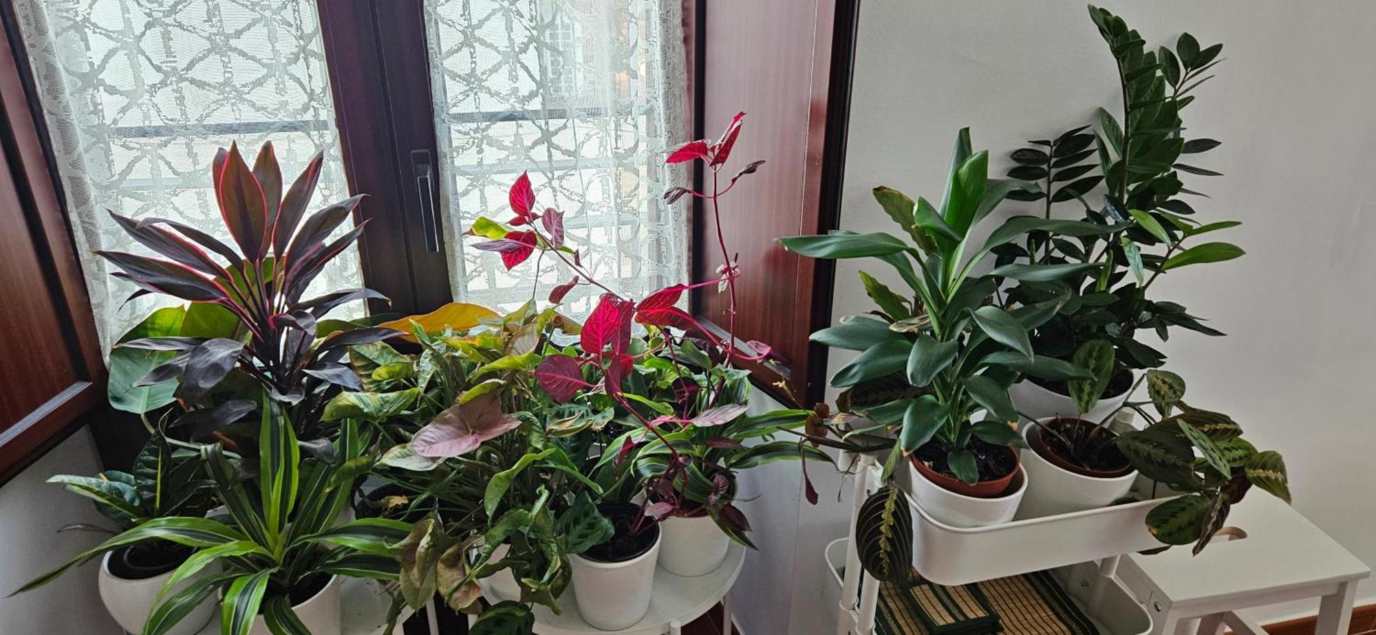 Apartamentos Los Descalzos Angel With Private Terrace Free Parking Ronda Exterior photo