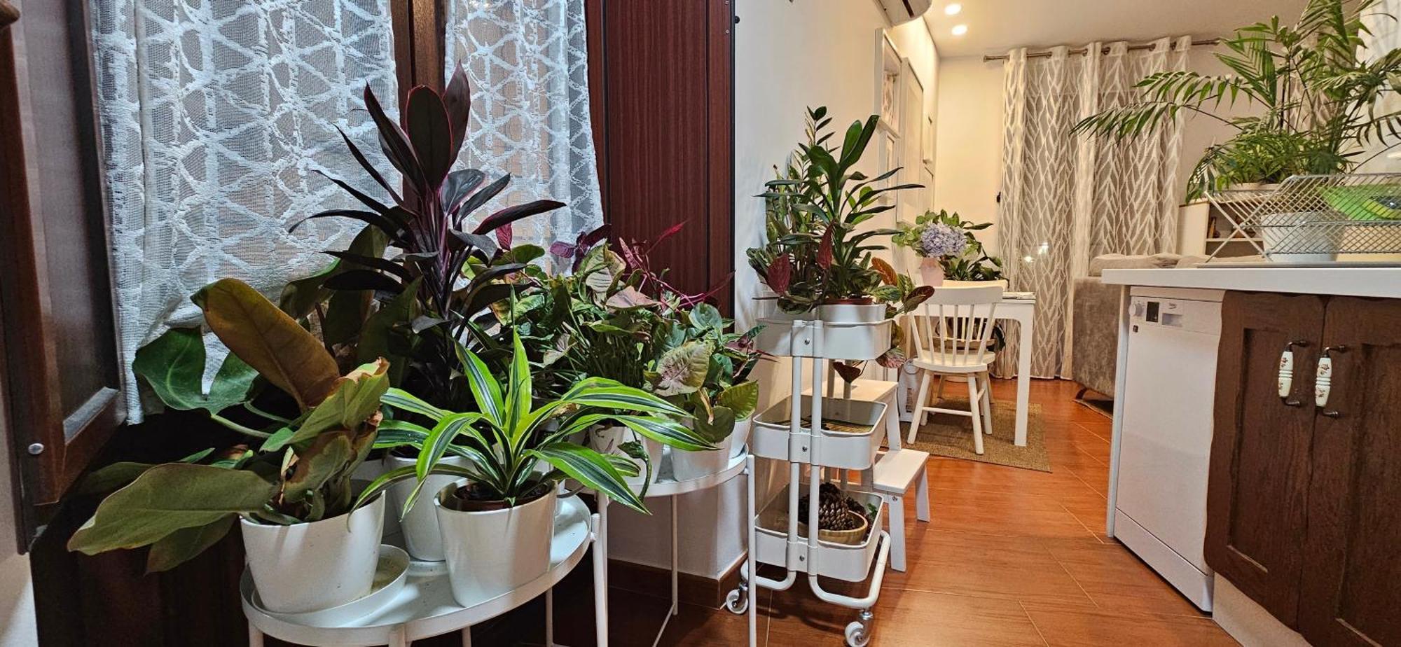 Apartamentos Los Descalzos Angel With Private Terrace Free Parking Ronda Exterior photo